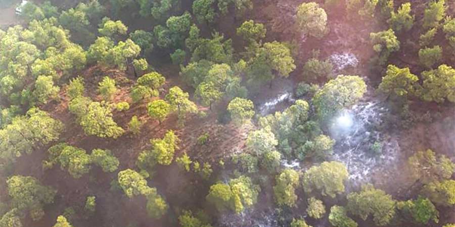 Τμ. Δασών: Σε επίπεδο 'Κόκκινου Συναγερμού' ο κίνδυνος πρόκλησης δασικών πυρκαγιών 